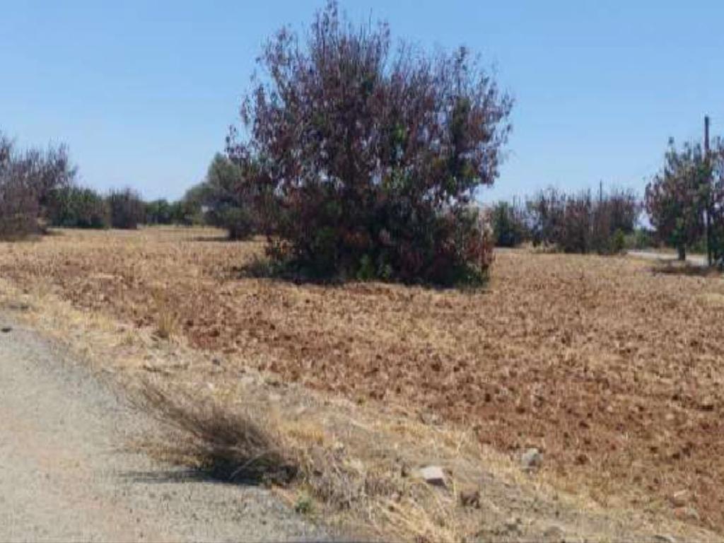 RESIDENTIAL LAND IN MAZOTOS/LARNACA