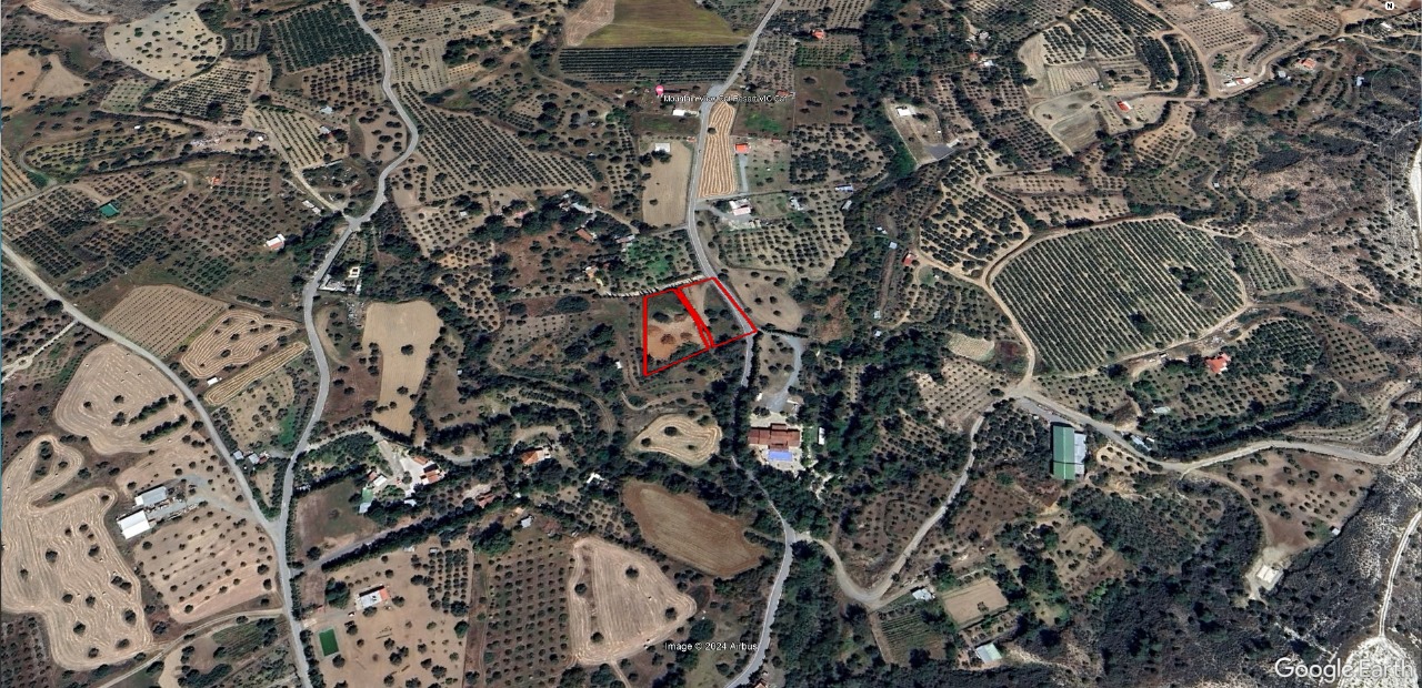 AGRICULTURAL PLOT FOR SALE IN ANGLISIDES/LARNACA