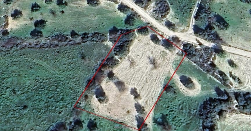 AGRICULTURAL FIELD FOR SALE IN KATO LEFKARA/LARNACA