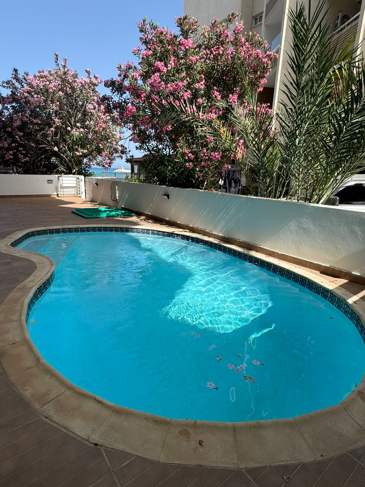 GROUND FLOOR APARTMENT FOR RENT IN MAKENZY/LARNACA