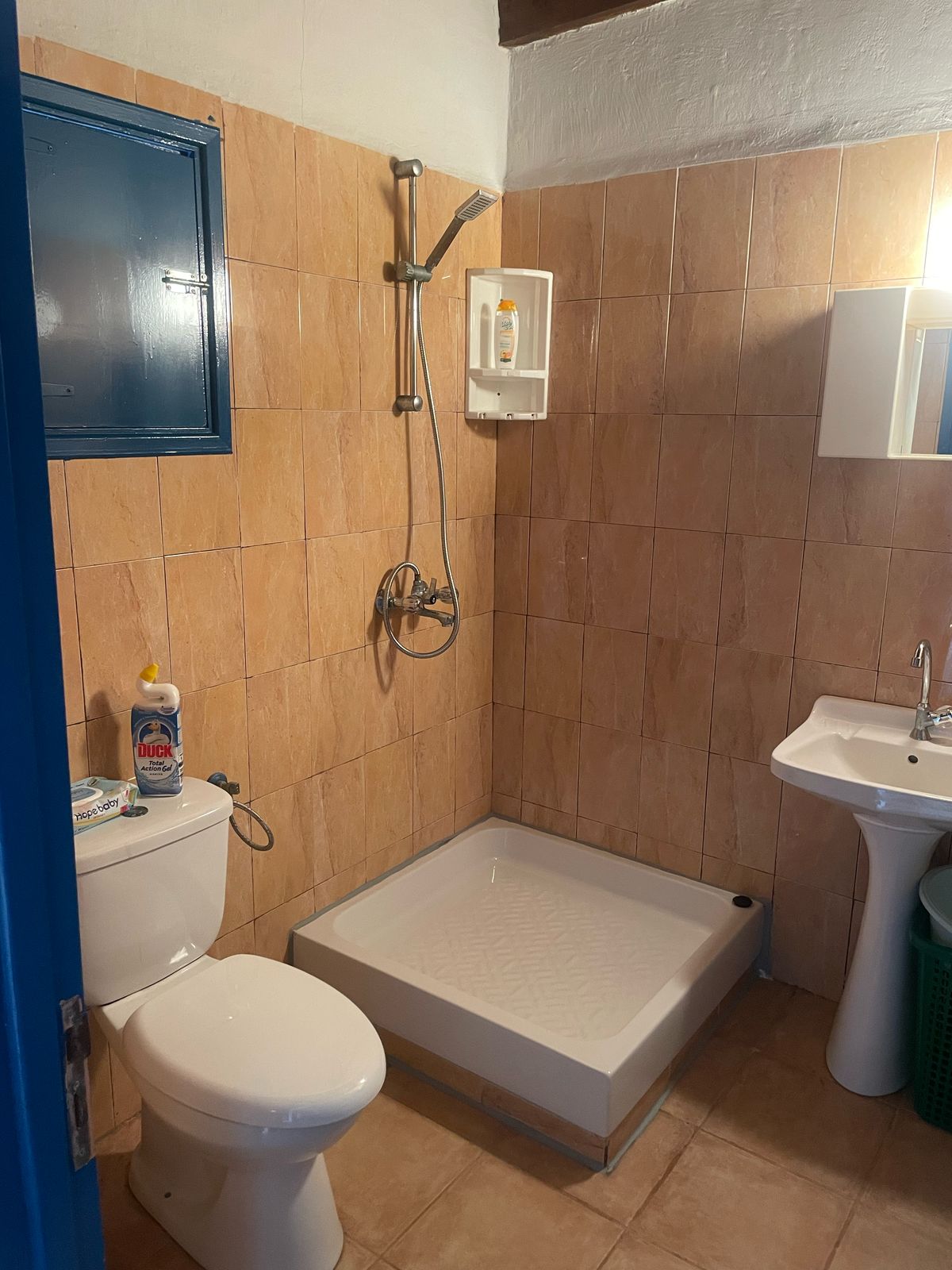 ONE-BEDROOM SMALL SEASIDE HOUSE IN ORMIDEIA