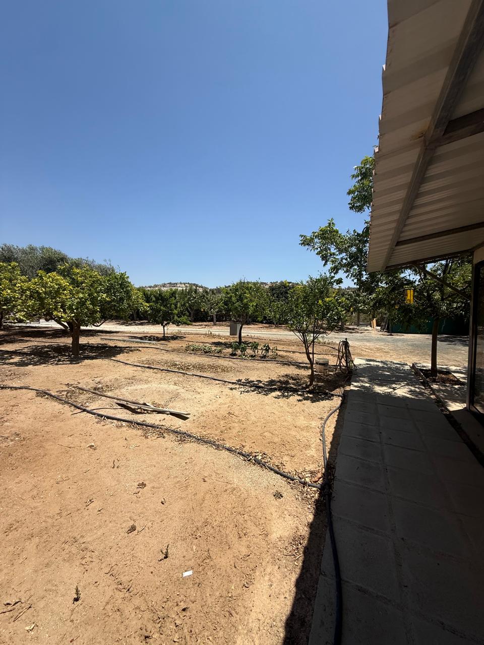 ORCHARD FOR SALE IN AGIA ANNA