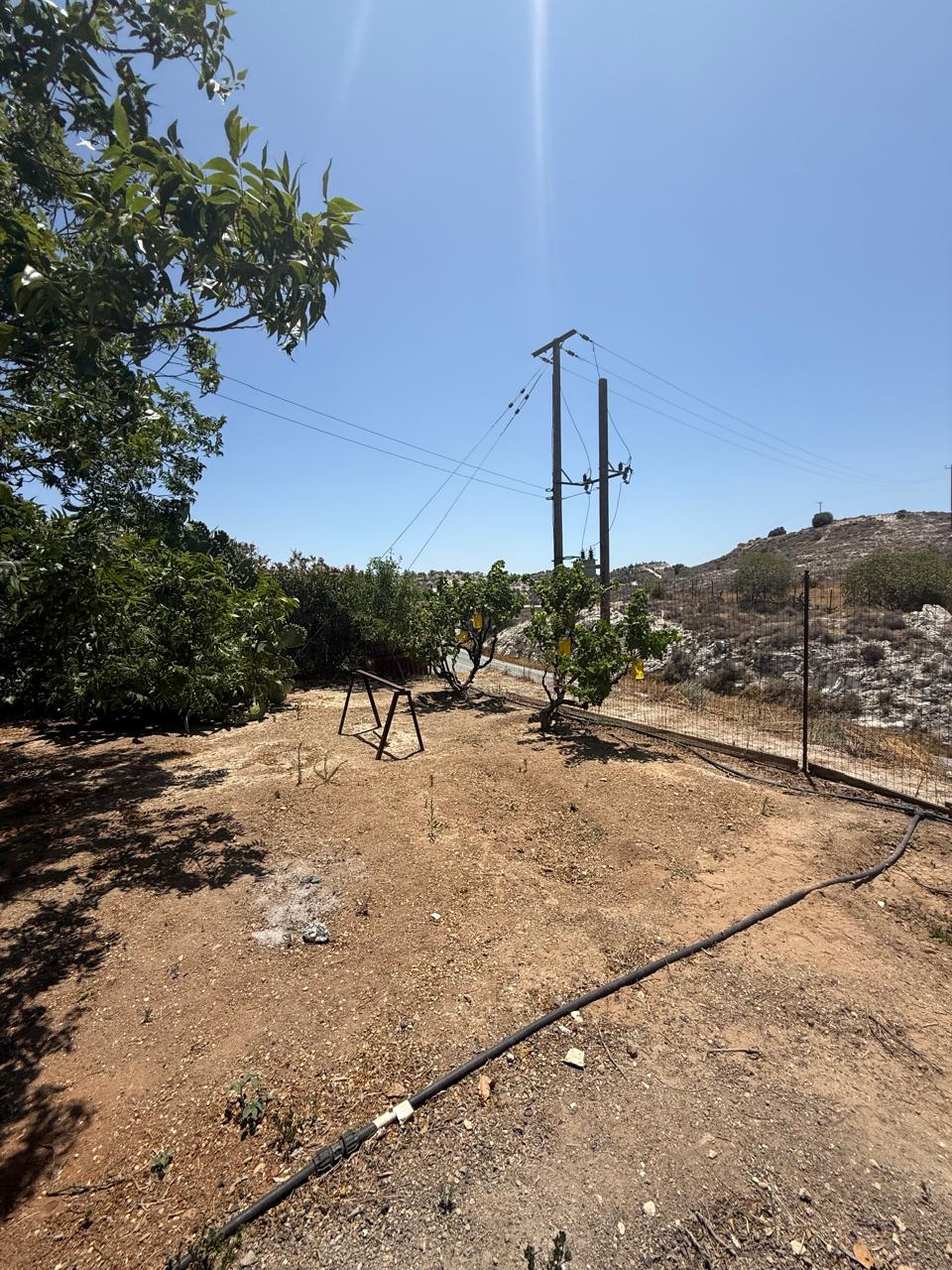 ORCHARD FOR SALE IN AGIA ANNA