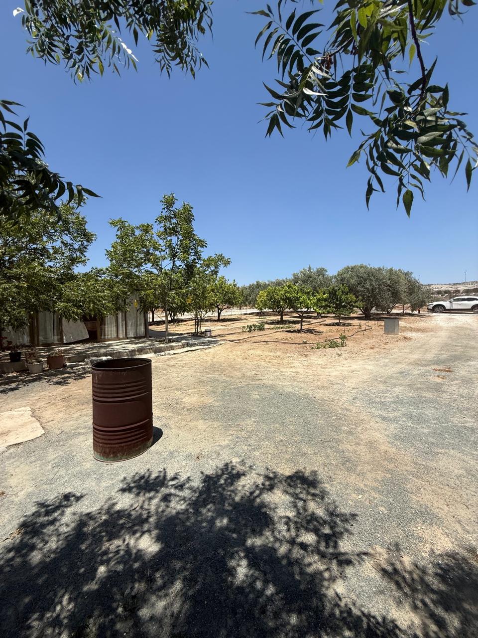 ORCHARD FOR SALE IN AGIA ANNA