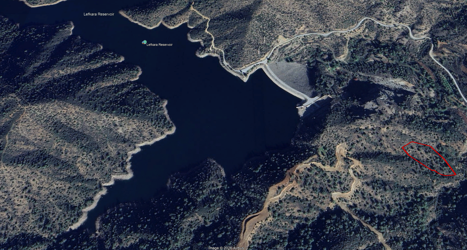 FOREST FIELD FOR SALE IN PANO LEFKARA