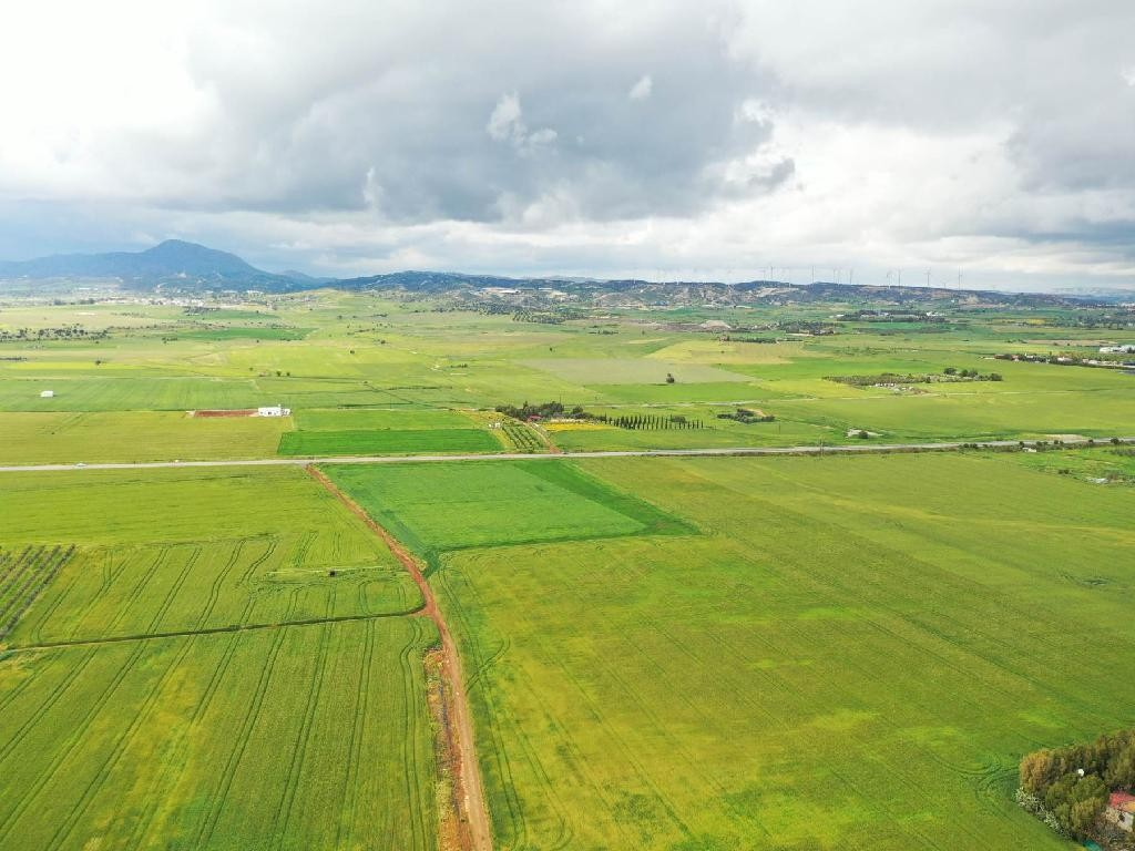BEACHFRONT LAND PLOT - SOFTADES/LARNACA