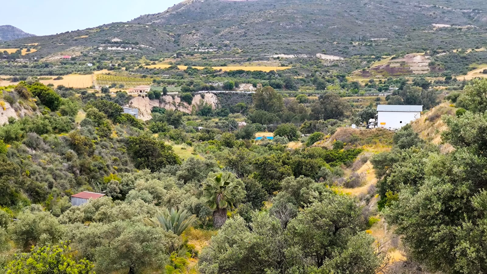 AGRICULTURAL LAND IN KALAVASOS 