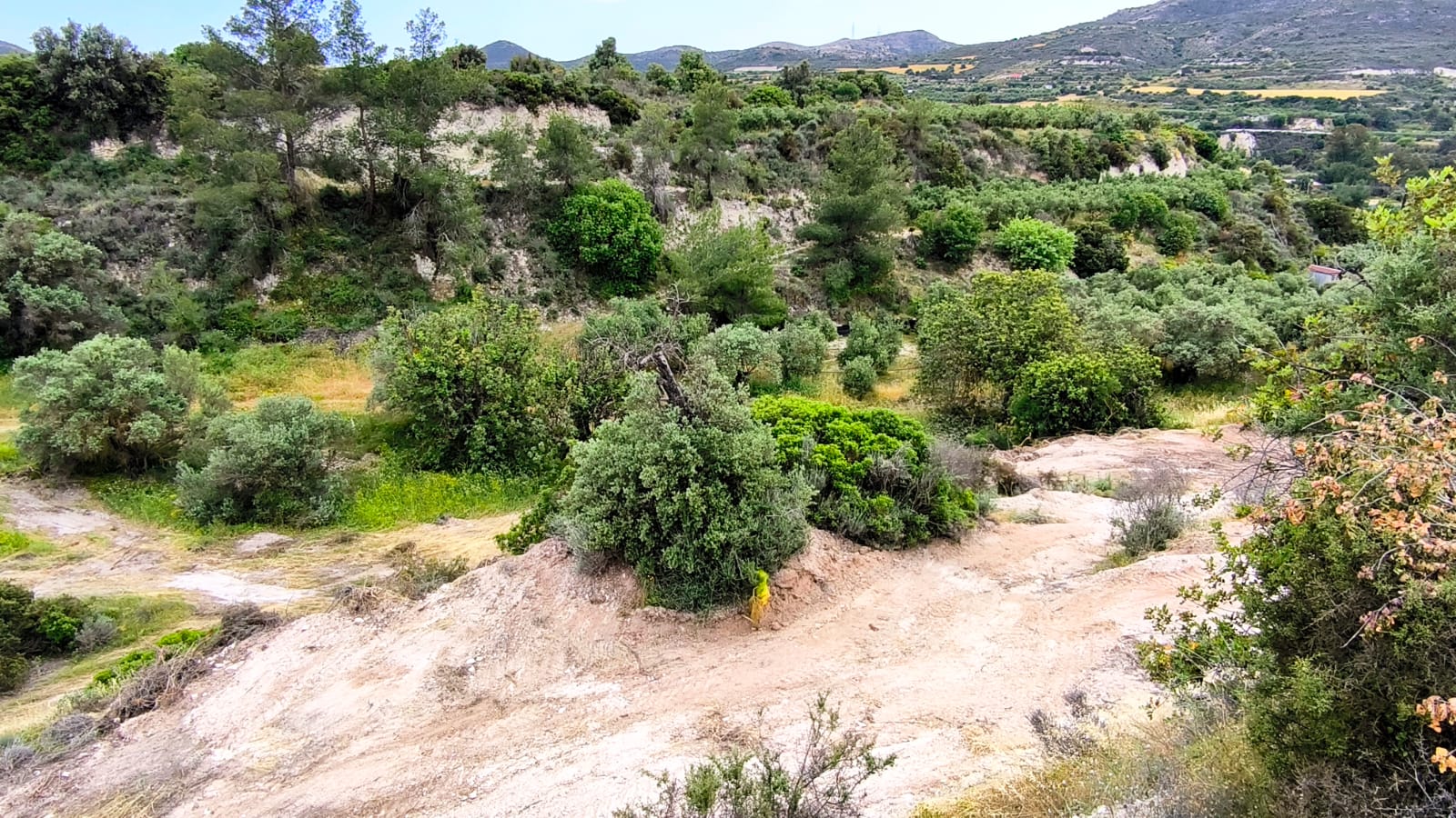 AGRICULTURAL LAND IN KALAVASOS 
