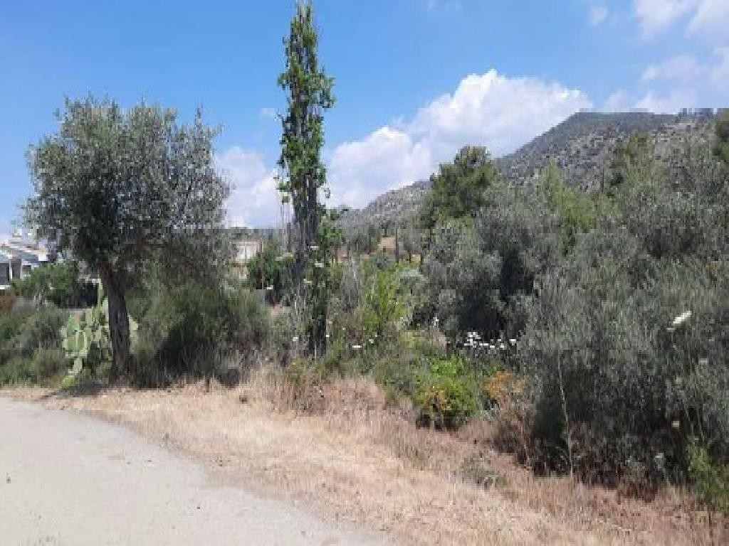 RESIDENTIAL LAND PLOT- LAGEIA/LARNACA